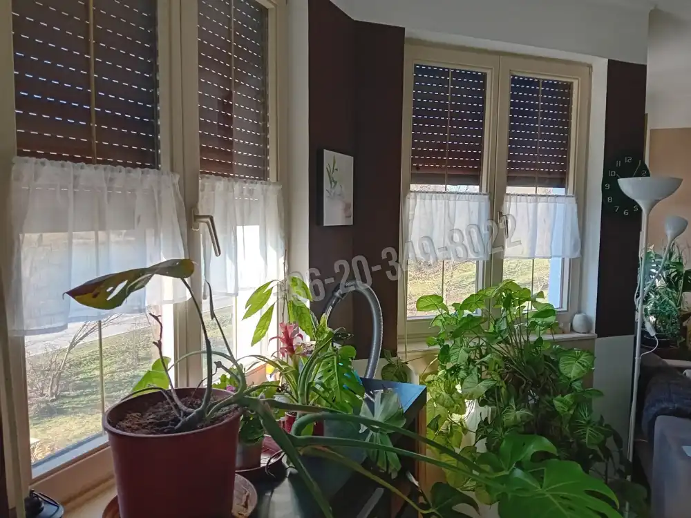 Zala megye - Zalacsány