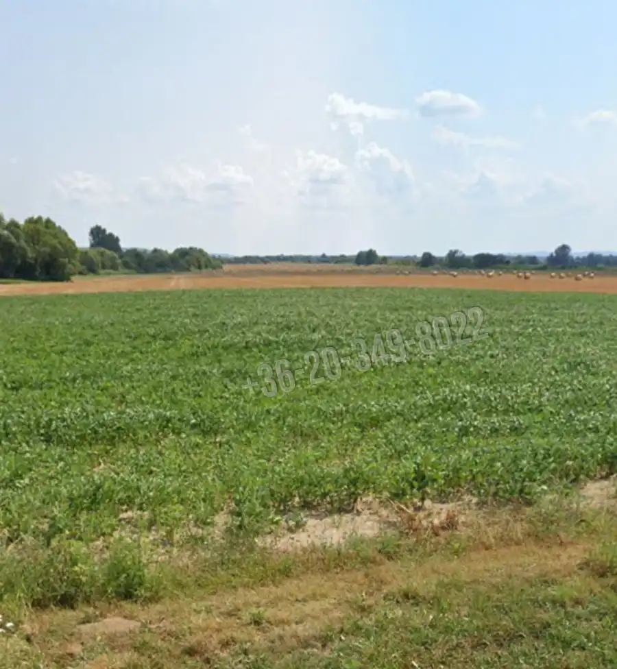 eladó  Építési telek, Felsőrajk