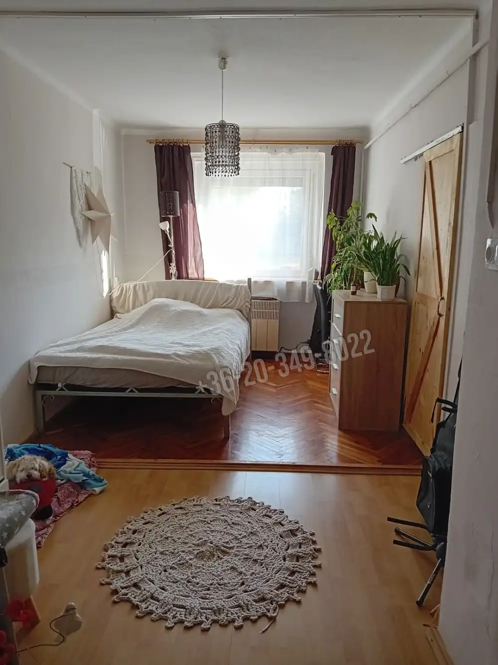 Zala megye - Zalaegerszeg