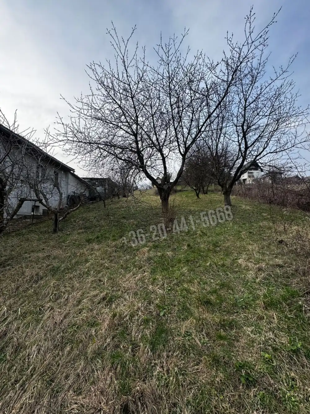 Zala megye - Zalaegerszeg